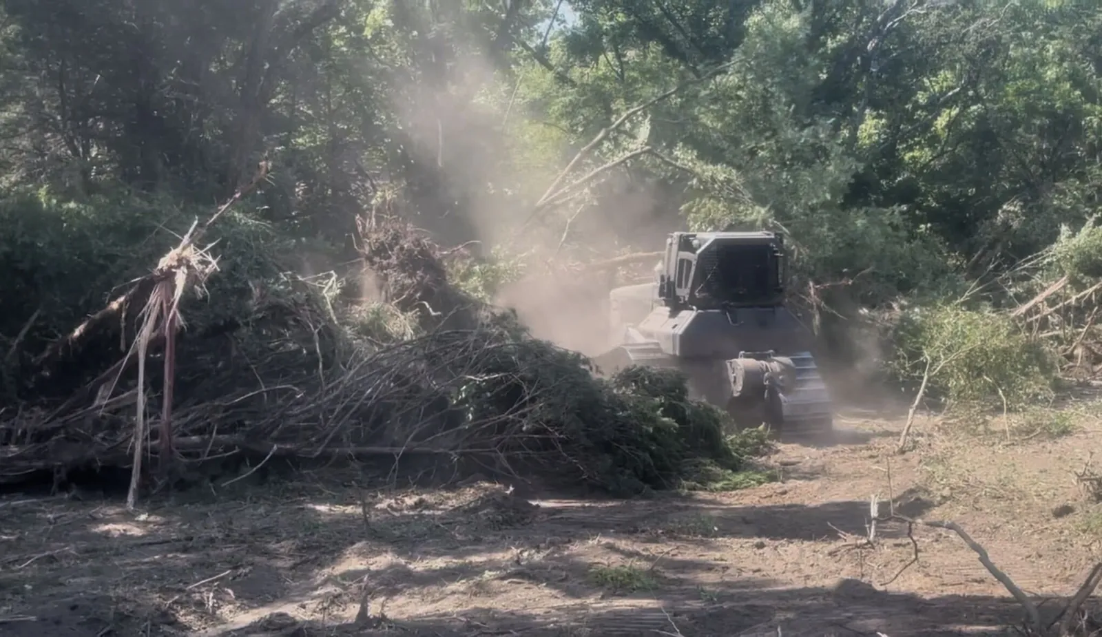 Stump Removal in Ada, OK