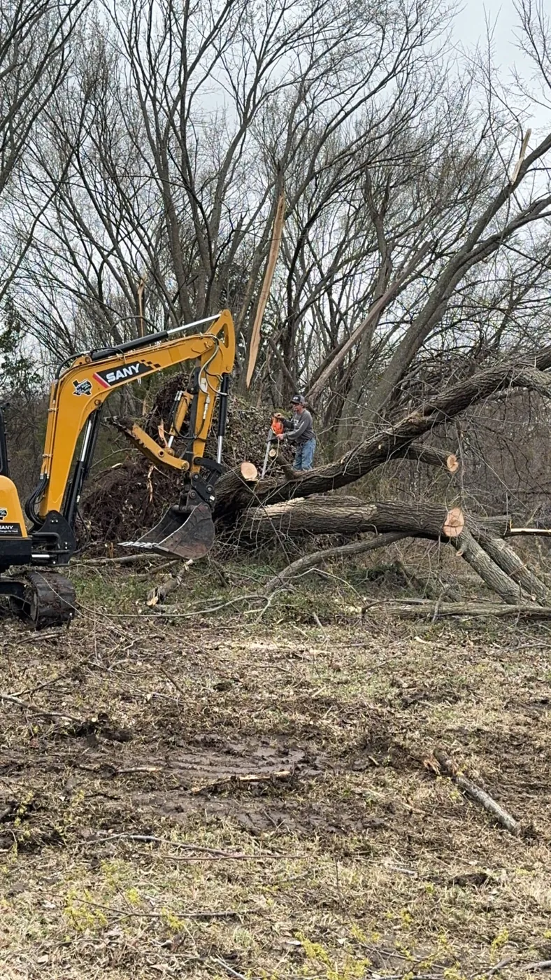 Excavator lifting a tree out of the ground with the root ball attached during mechanical land clearing