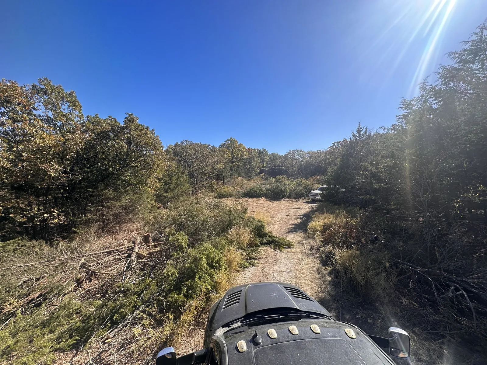 Tracked skid steer working a cleared lane