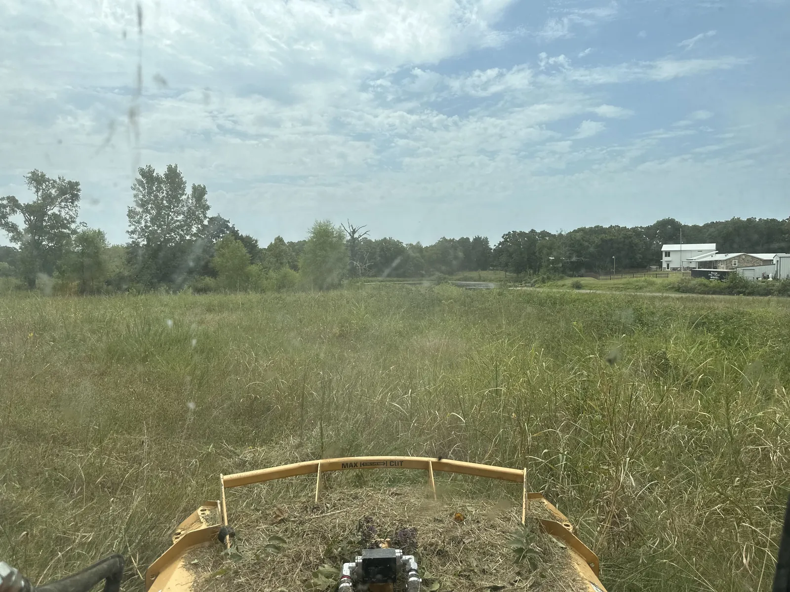 Tall grown-up pasture ahead of the machine